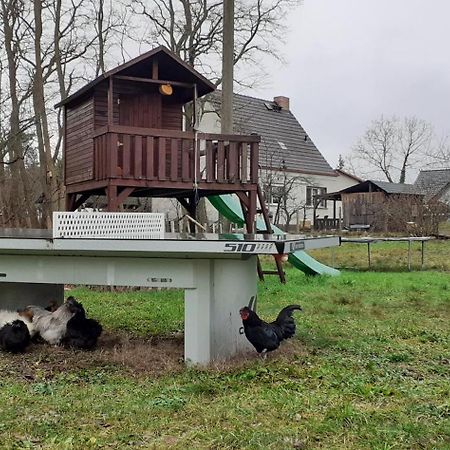 Zur Alten Jugendherberge Burg  Bagian luar foto